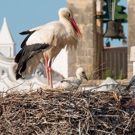 Stork Hostel Olhão Buitenkant foto