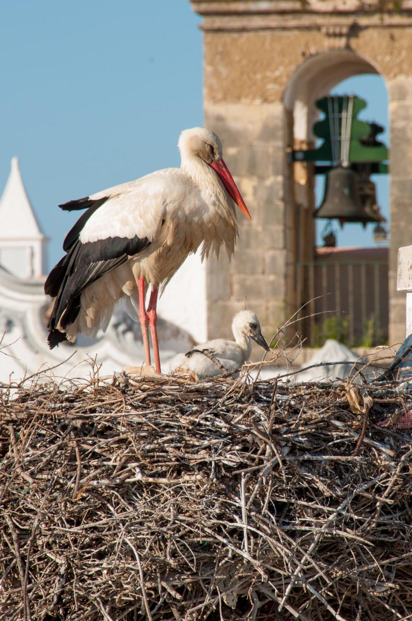 Stork Hostel Olhão Buitenkant foto